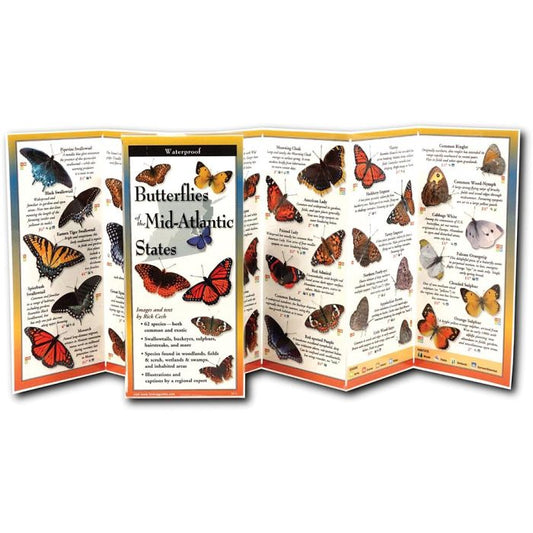 EARTH SKYWATER BUTTERFLIES OF THE MID-ATLANTIC STATES