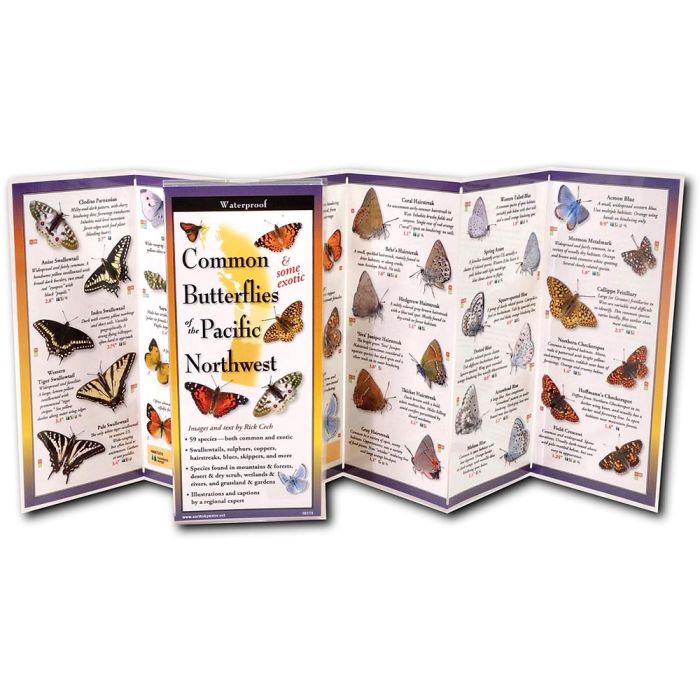 EARTH SKYWATER BUTTERFLIES OF THE NORTHWEST