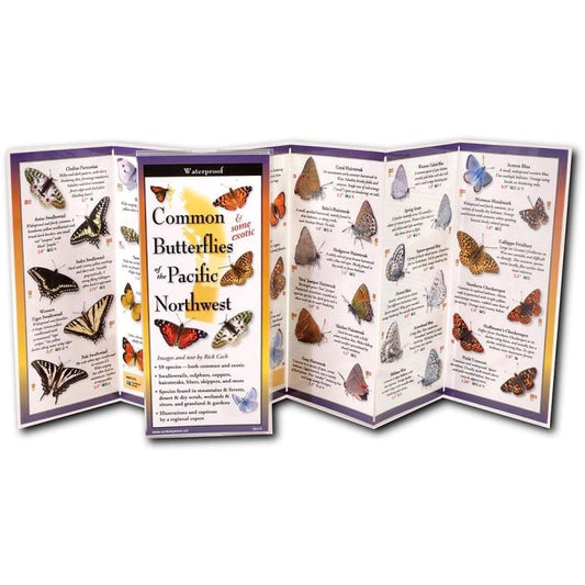EARTH SKYWATER BUTTERFLIES OF THE NORTHWEST