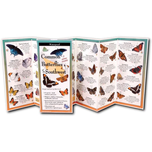 EARTH SKYWATER BUTTERFLIES OF THE SOUTHWEST