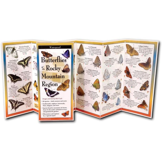 EARTH SKYWATER BUTTERFLIES OF THE ROCKY MOUNTAIN REGION