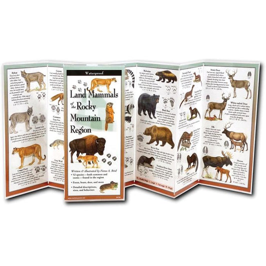 EARTH SKYWATER LAND MAMMALS OF THE ROCKY MOUNTAIN REGION