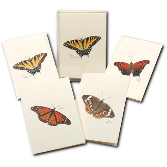 EARTH SKYWATER BUTTERFLY NOTECARDS