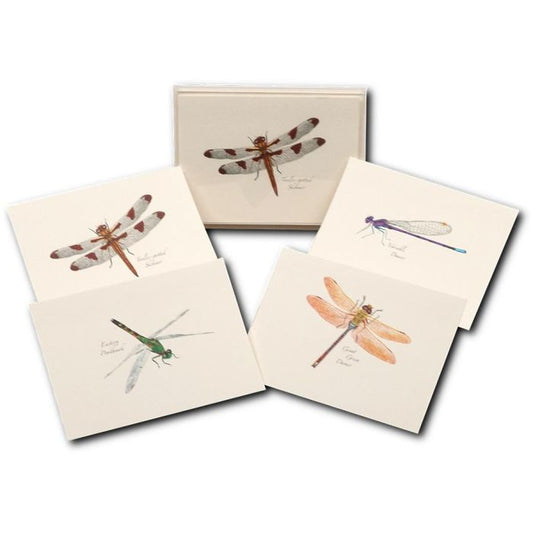 EARTH SKYWATER DRAGONFLY NOTECARDS