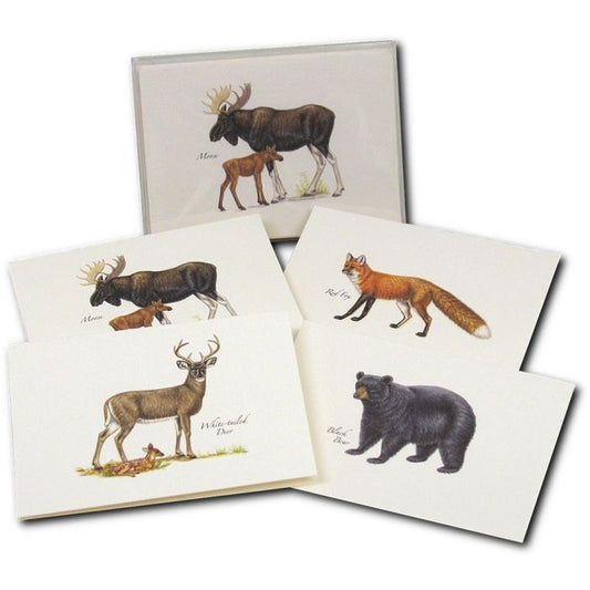 EARTH SKYWATER MAMMAL NOTECARDS