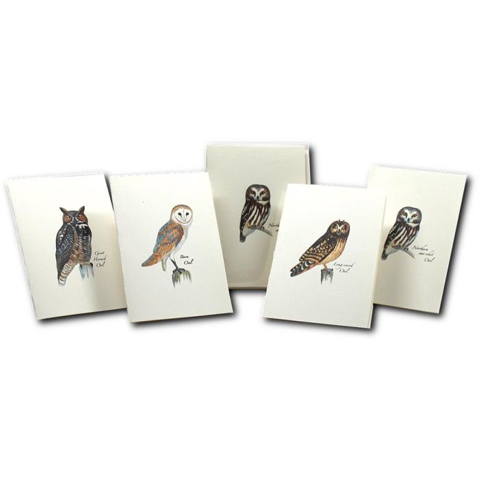 EARTH SKYWATER OWL NOTECARDS