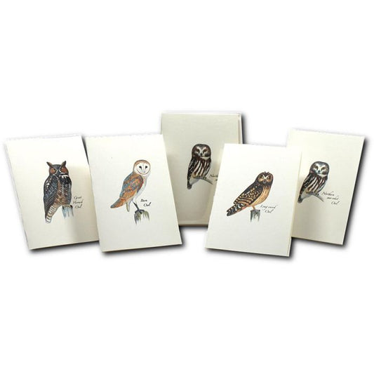 EARTH SKYWATER OWL NOTECARDS