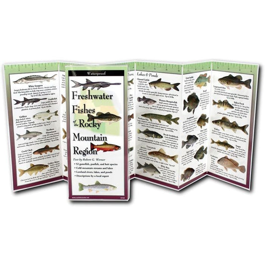 EARTH SKYWATER FOLDING GUIDE FRESHWATER FISHES OF ROCKY MOUNTAINS