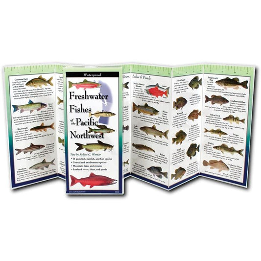 EARTH SKYWATER FOLDING GUIDE FRESHWATER FISHES OF PACIFIC NORTHWEST