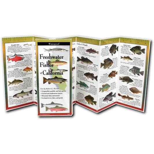 EARTH SKYWATER FOLDING GUIDE FRESHWATER FISHES OF CALIFORNIA