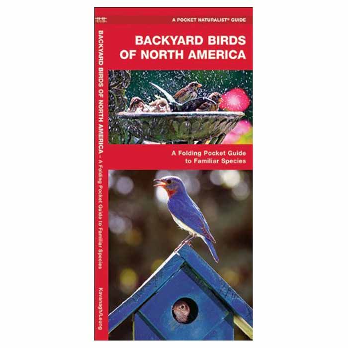 WATERFORD PRESS BACKYARD BIRDS OF NORTH AMERICA