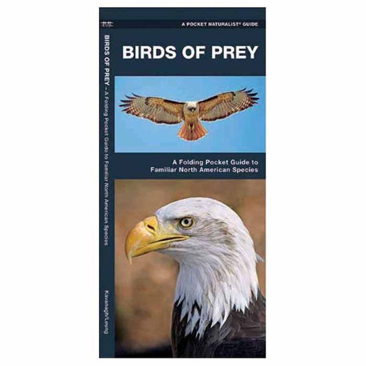 WATERFORD PRESS BIRDS OF PREY