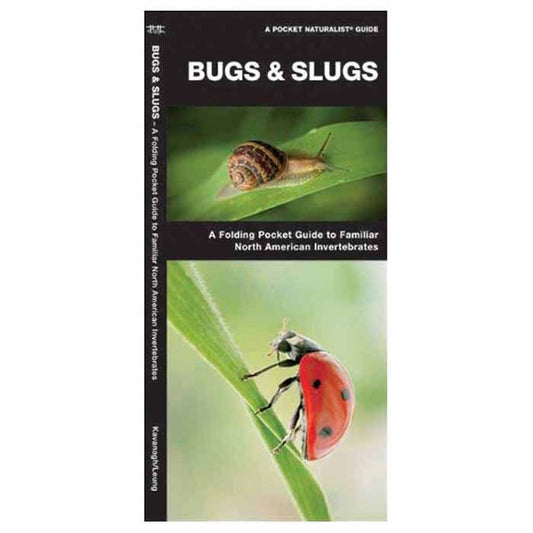 WATERFORD PRESS BUGS & SLUGS
