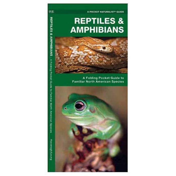 WATERFORD PRESS REPTILES & AMPHIBIANS