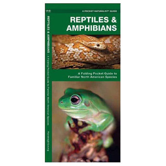 WATERFORD PRESS REPTILES & AMPHIBIANS