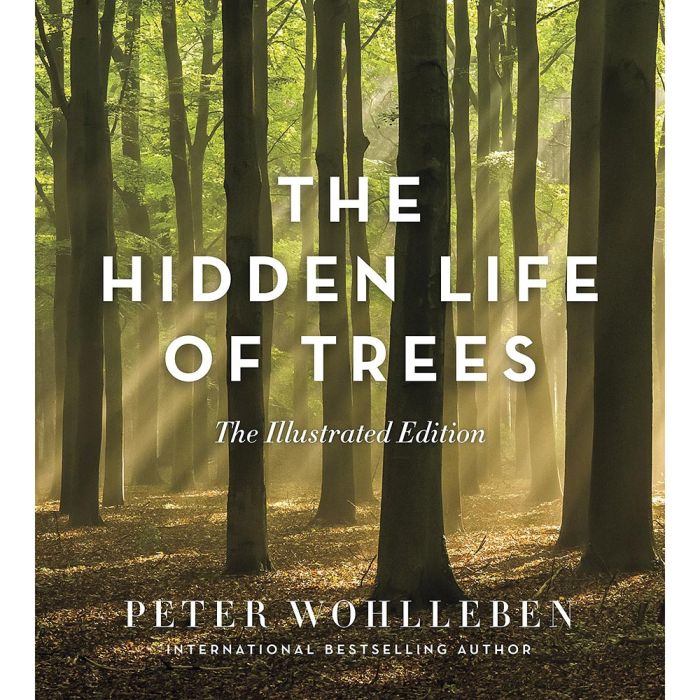 GREYSTONE BOOKS HIDDEN LIFE OF TREES