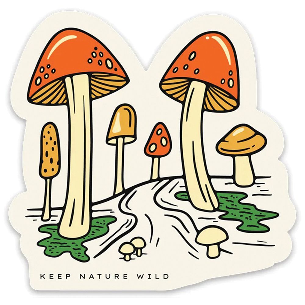 KEEP NATURE WILD STICKERS