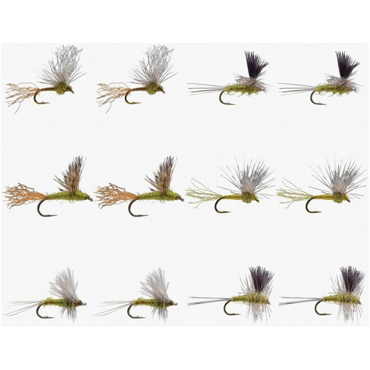 RIO PRODUCTS BWO DRY ASSORTMENT