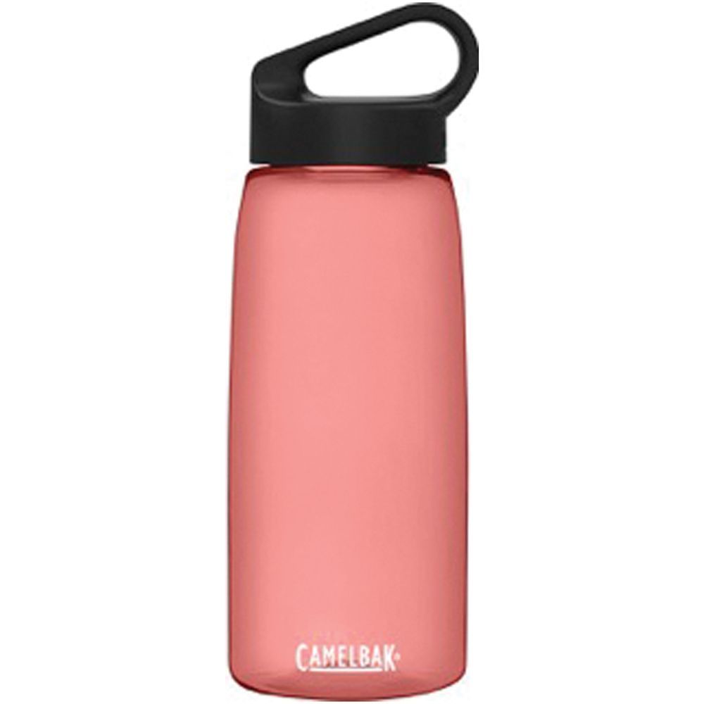 CAMELBAK CARRY CAP 25 OZ - STAINLESS STEEL