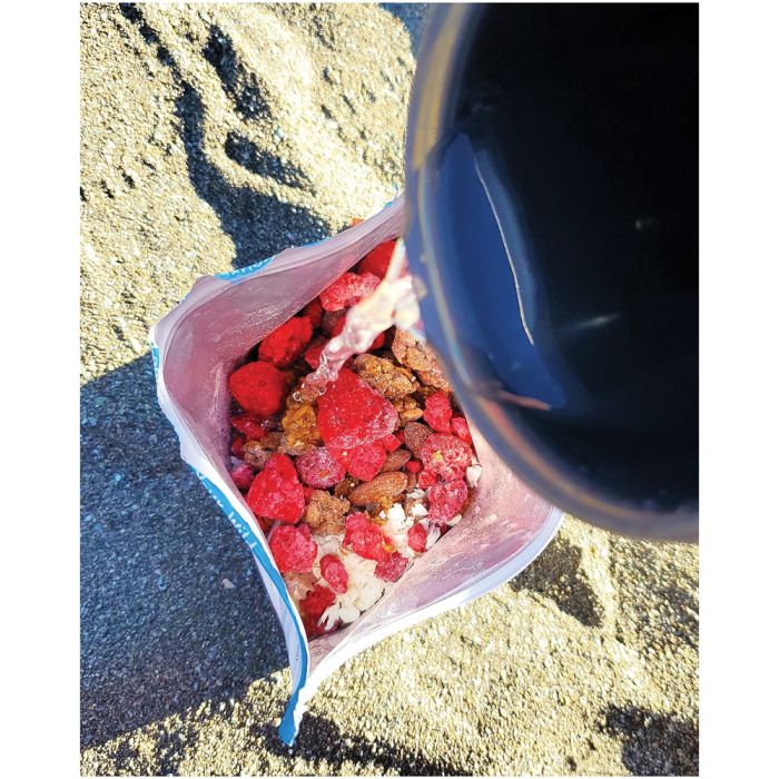 BUSHKAS KITCHEN YOGURT BOWL-RASPBERRIES WITH CHOCOLATE GRANOLA