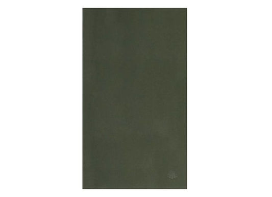 AP Products WINDOW GLASS - TINTED 12-1/2 X 21-1/2