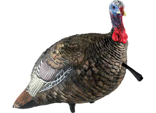 Avian-X LCD Quarter-Strut Jake Turkey Decoy