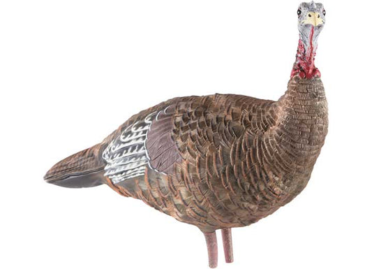 Avian-X LCD Lookout Hen Turkey Decoy