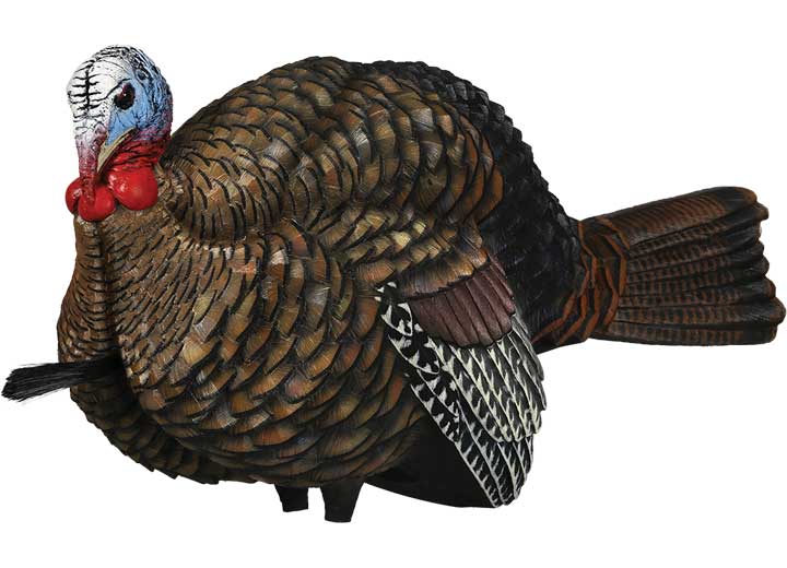 Avian-X LCD Half-Strut Jake Turkey Decoy