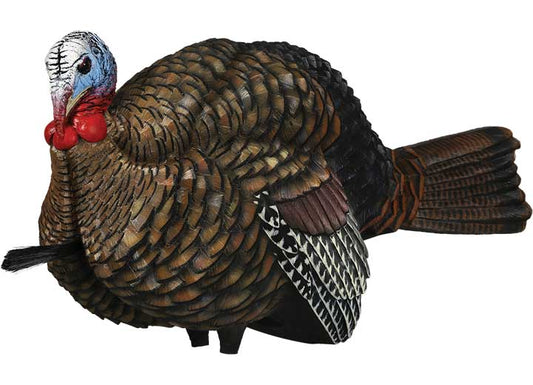 Avian-X LCD Half-Strut Jake Turkey Decoy