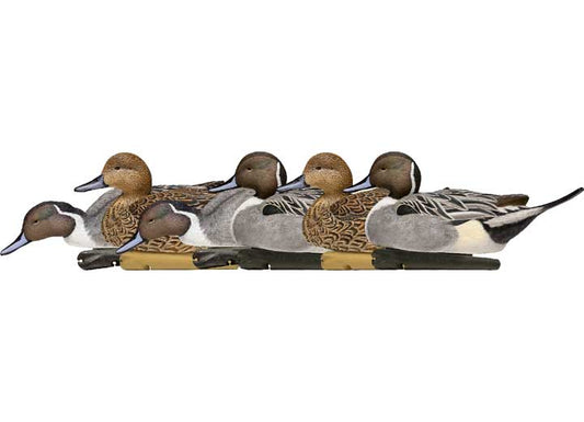 Avian-X Topflight Pintail Decoys