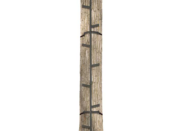 Big Game Treestands Quick-Stick