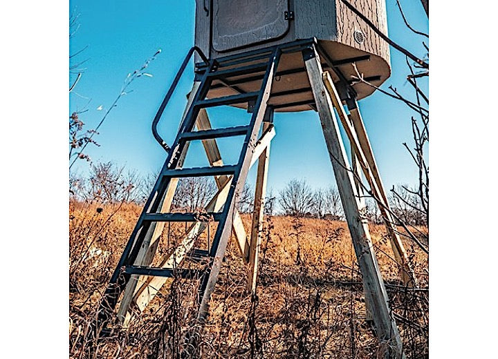 Banks Outdoors Steel 12 ft. Ladder