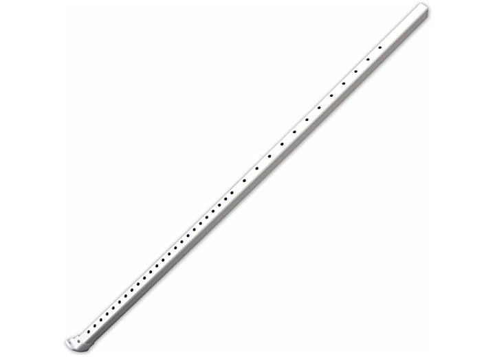 Carefree of Colorado ARM,#2,INBIN,FIESTA,UNIV,WHT/WHT