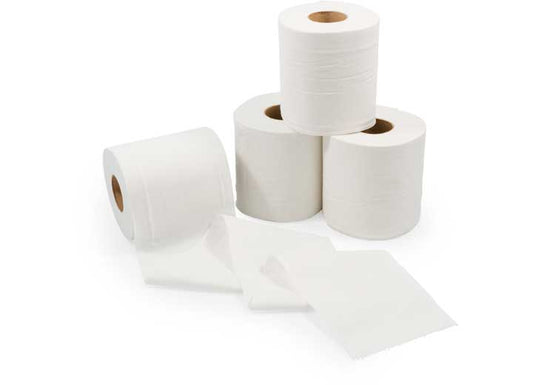 Camco RV Bathroom Toilet Tissue - 2 Ply, 4 Rolls (Bilingual)