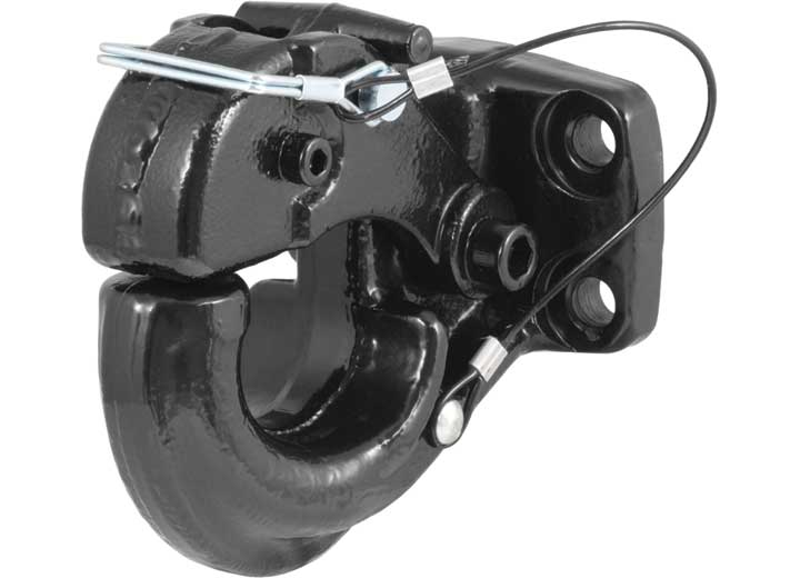 Curt Manufacturing Curt Pintle Hook