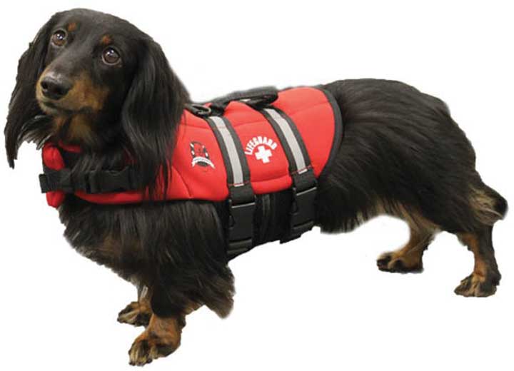 Fido Pet Products Paws Aboard Dog Life Jacket, Lifeguard Red, XS