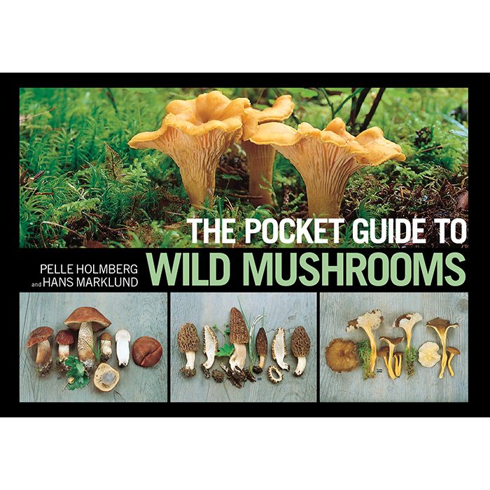 SKYHORSE THE POCKET GUIDE TO WILD MUSHROOMS