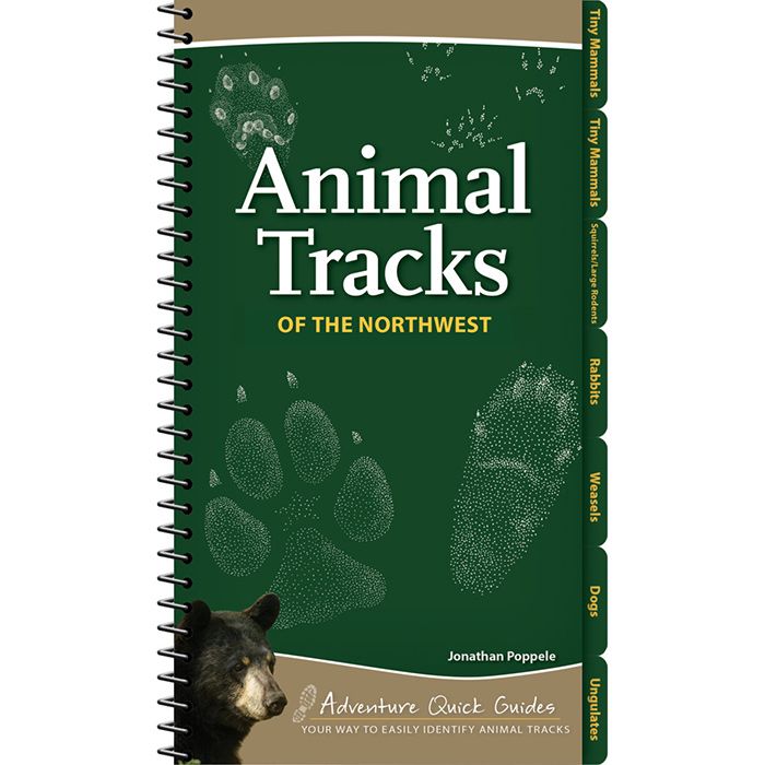 ADVENTURE PUBLICATIO ANIMAL TRACKS OF THE NORTHWEST