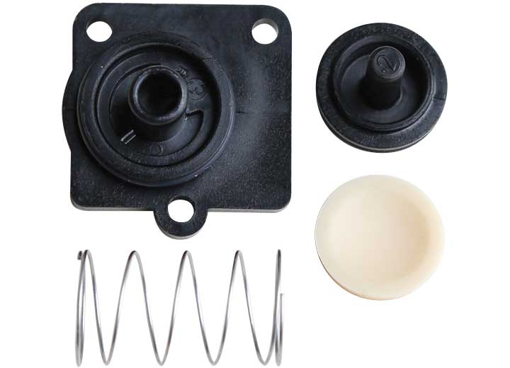 Pentair Shurflo CHECK VALVE