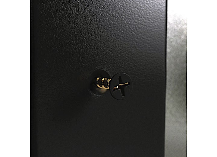 Valterra Products LLC SCREWS FOR WINDOW FRAMES, BLACK, 100/BAG
